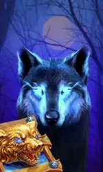 Book Of The Night Wolf